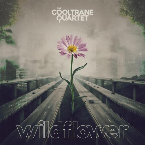 The Cooltrane Quartet - WILDFLOWER