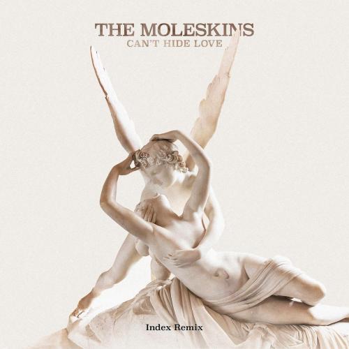 The Moleskins - Can't Hide Love (Index Remix