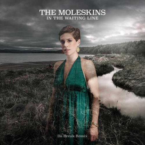 The Moleskins - In the Waiting Line (feat. Da Break) [Da Break Remix]