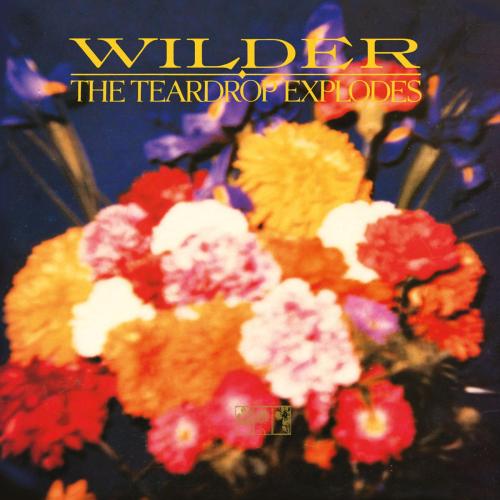 The Teardrop Explodes - Colours Fly Away