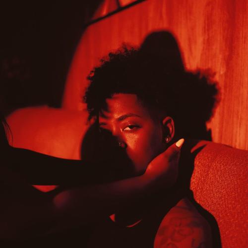 TheARTI$t - Soul On Fire