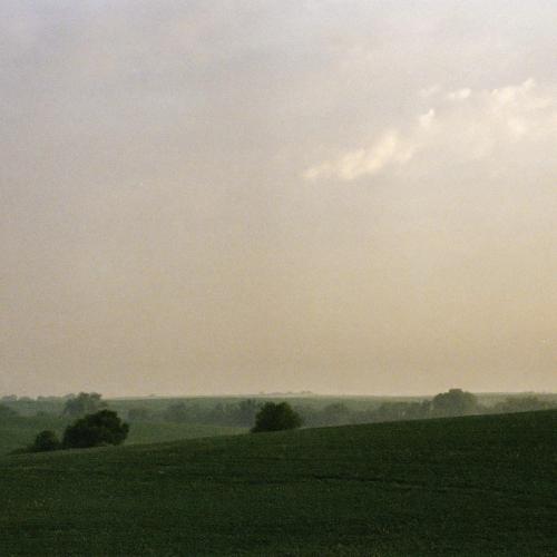Tony Anderson - Fleurie