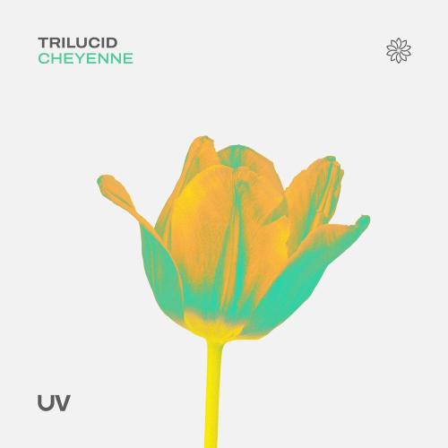 Trilucid - Cheyenne