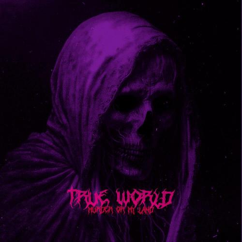 True World - Murder On My Land
