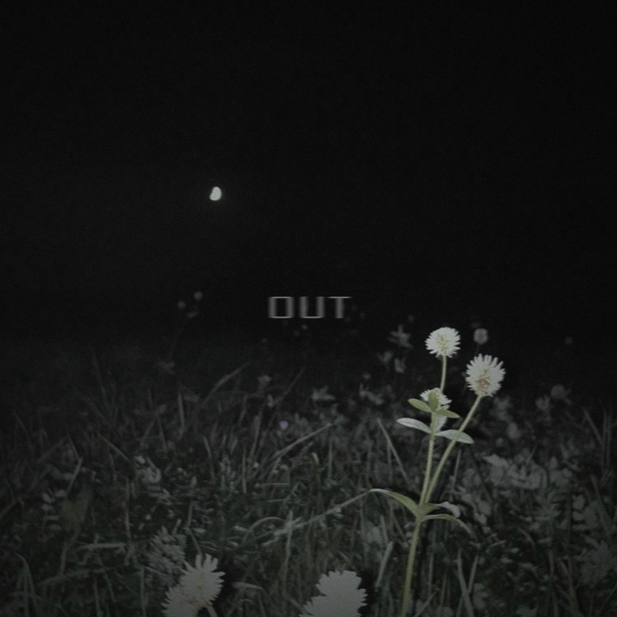 True World - out