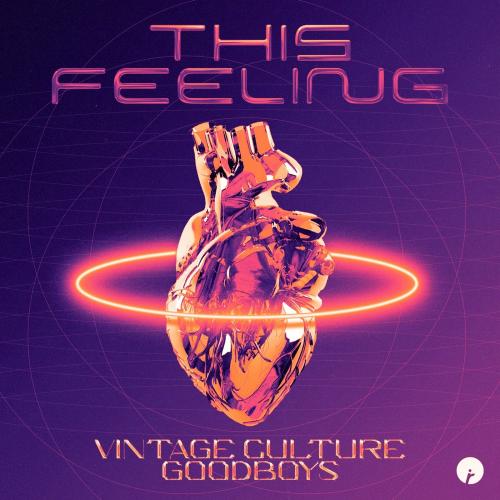 Vintage Culture feat. Goodboys - This Feeling