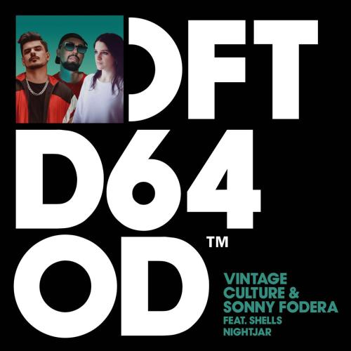 Vintage Culture & Sonny Fodera - Nightjar (feat. SHELLS)