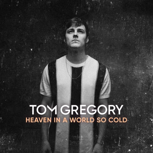 VIZE & Tom Gregory - Never Let Me Down