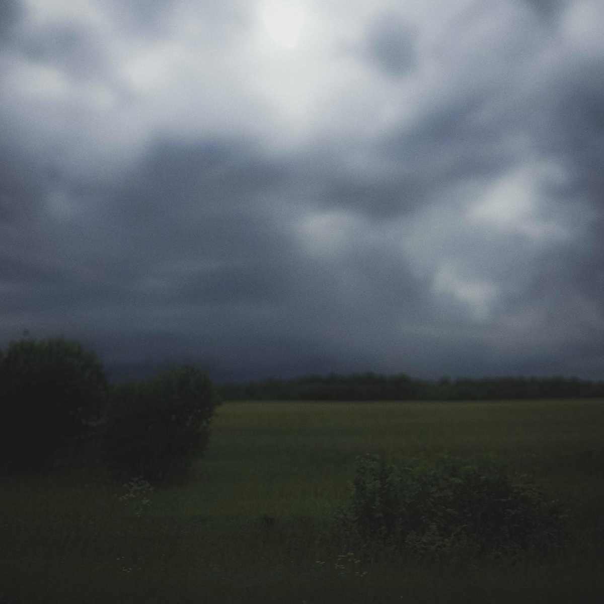 whisvix, Project Arisu ₊˚⊹⋆ - still here