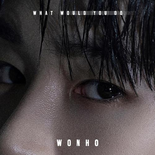WONHO - What Would You Do