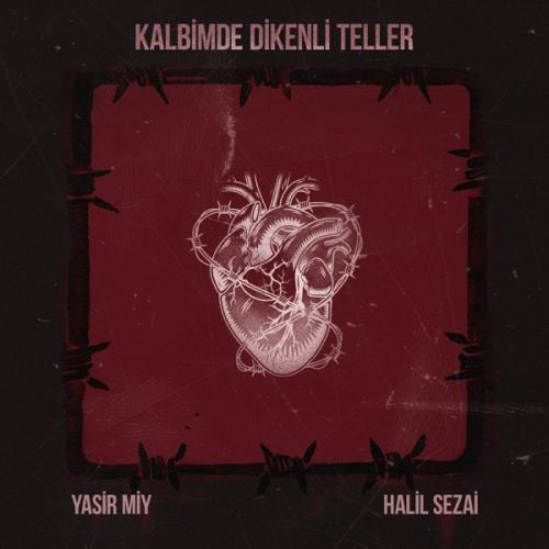 Yasir Miy & Halil Sezai Paracikoglu - Kalbimde Dikenli Teller