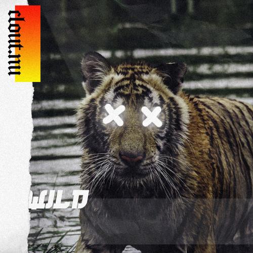 YZKN - Wild