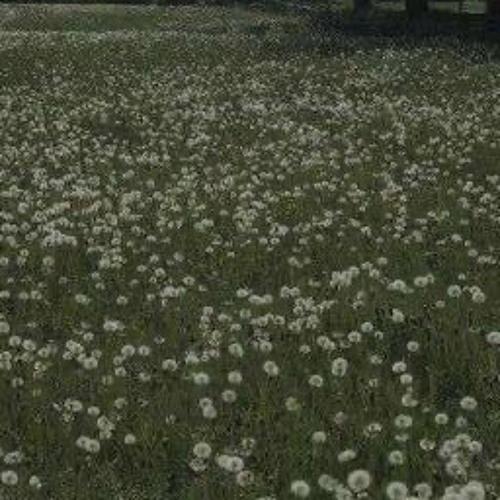 Zyphyr - fathoms