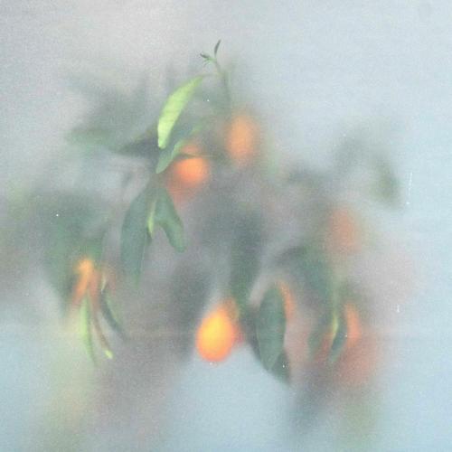 µ-Ziq & Mrs Jynx - Unheard Melodies
