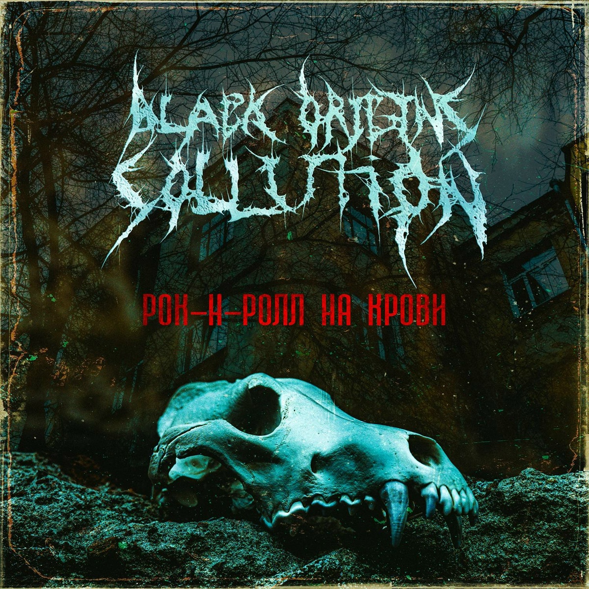 Black Origins Sollution - Рок-н-ролл на крови