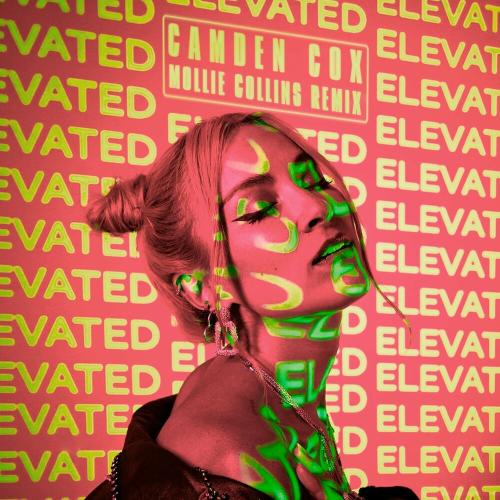 Camden Cox - Elevated (Mollie Collins Remix)