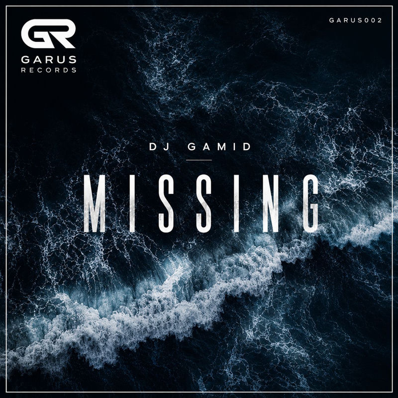 DJ Gamid - Missing