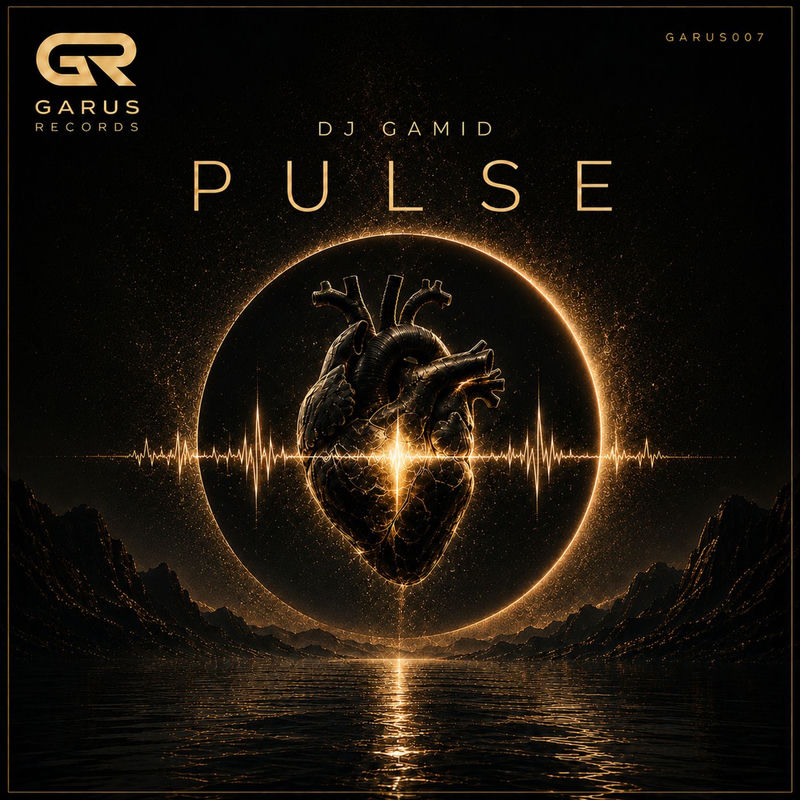 DJ Gamid - Pulse