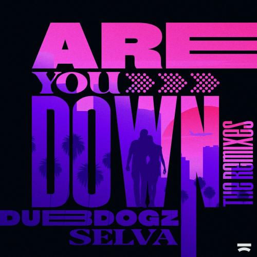 Dubdogz & Selva - Are You Down (Vicenzi Remix)