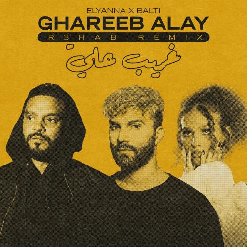 Elyanna feat. Balti - Ghareeb Alay (R3hab Remix)