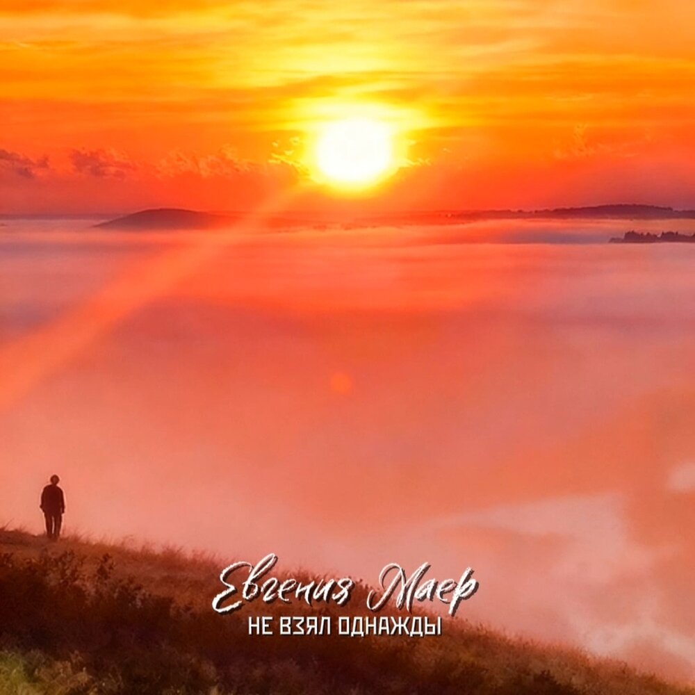Евгения Маер - Не взял однажды