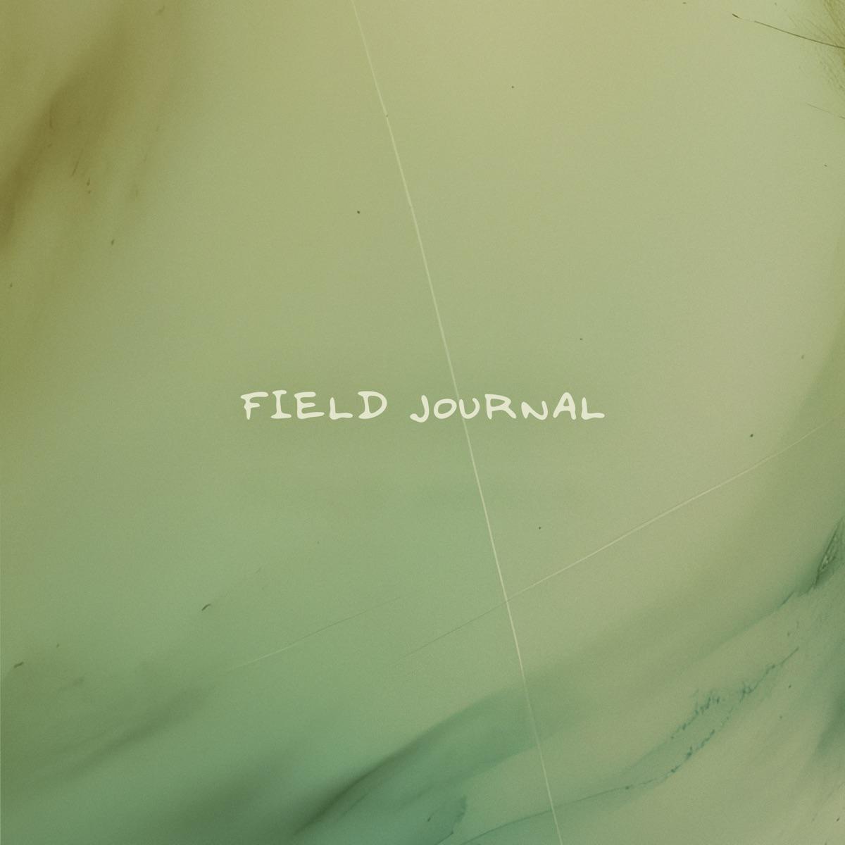 Field Journal - Flint (Thundestorm)