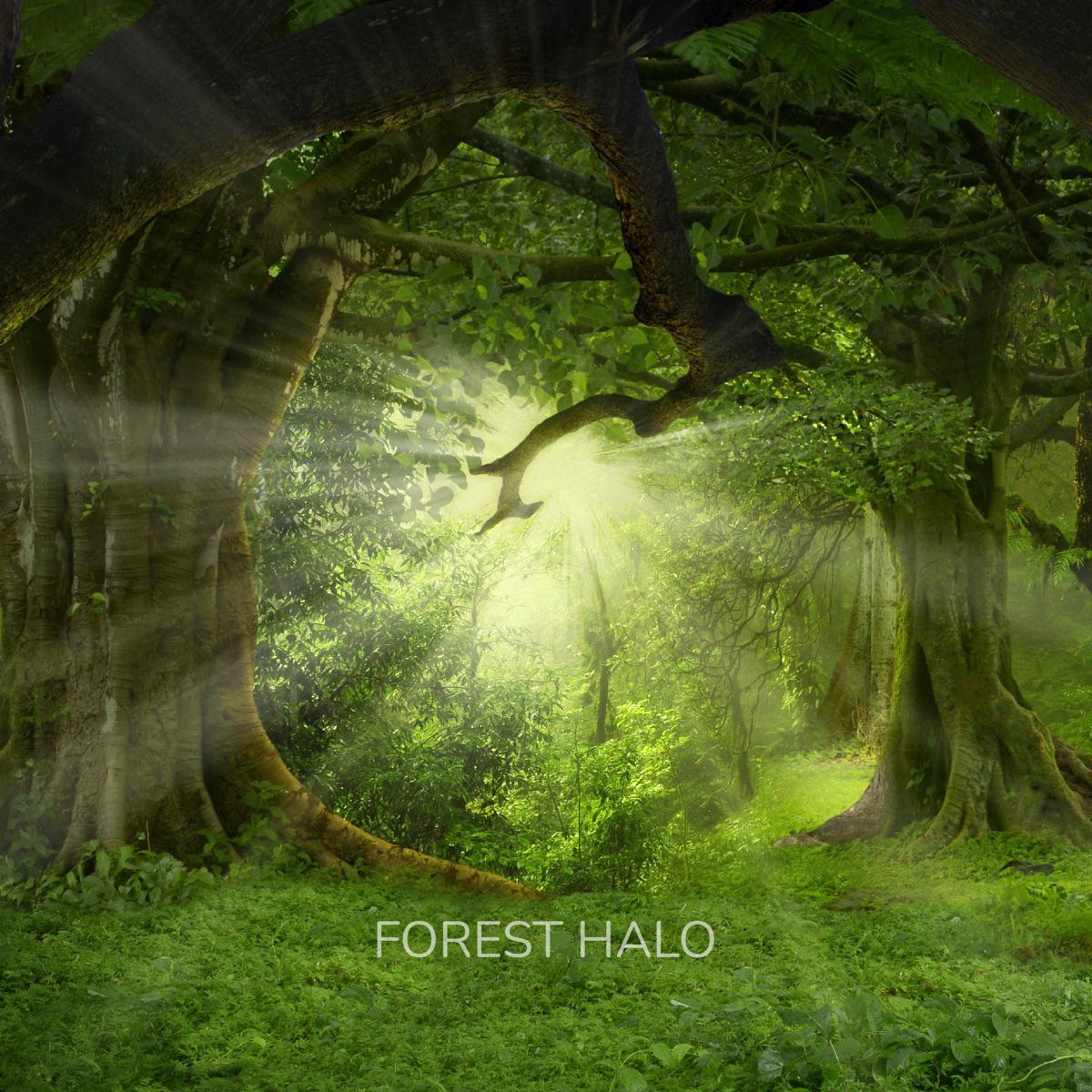 Forest Halo - Warm Embrace (Spa)