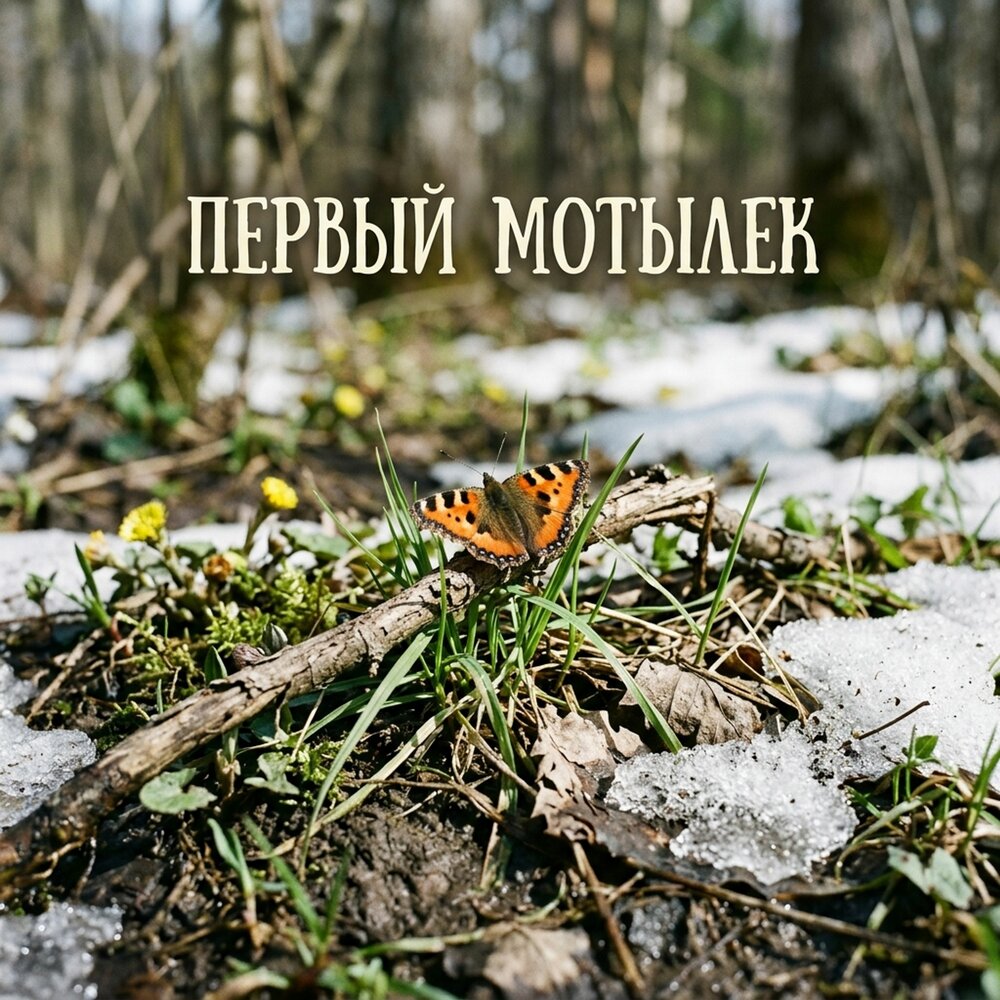 Пустые грезы - Первый мотылек