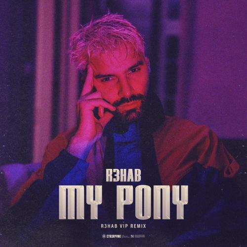 R3hab - My Pony (R3hab VIP Remix)