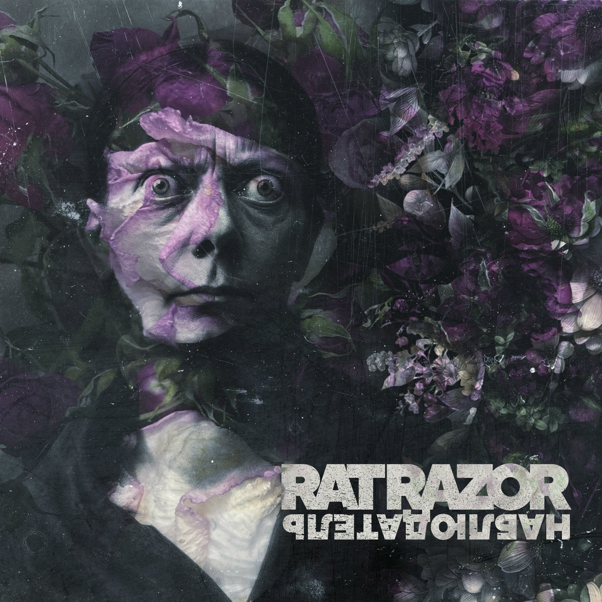 Rat Razor - Наблюдатель