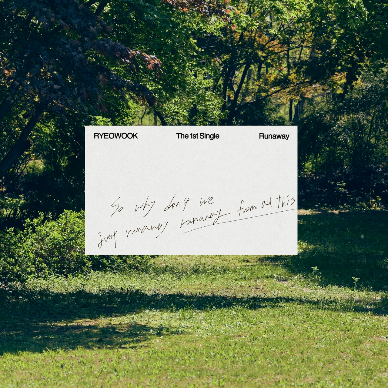 Ryeowook - Chamomile