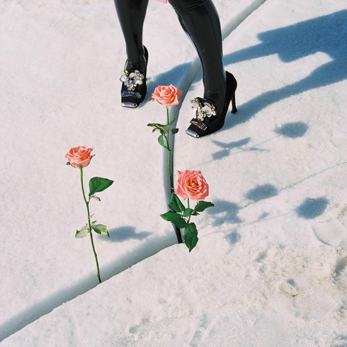 SADSADSERGIEVPOSAD - Eva 808