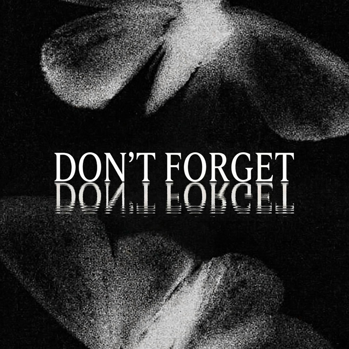 silent anthem - Don't Forget
