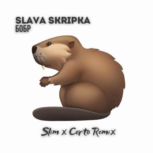SLAVA SKRIPKA - Бобр (Slim x Corto Remix)