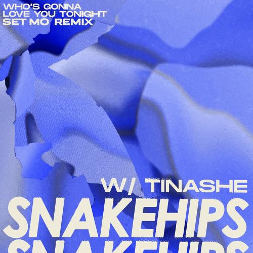 Snakehips feat. Tinashe - Who Is Gonna Love You Tonight (Set Mo Remix)