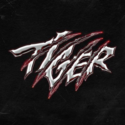 THE BOYZ - Tiger