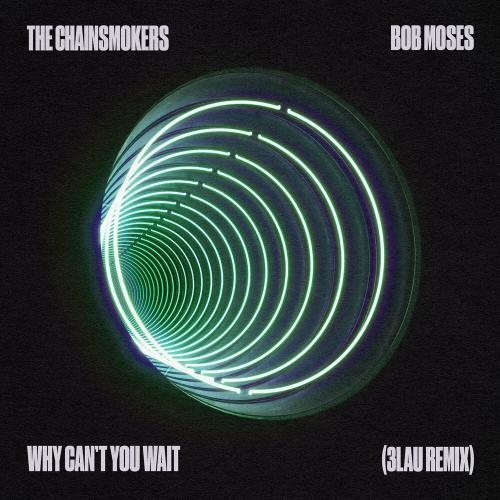 The Chainsmokers feat. Bob Moses - Why Cant You Wait (3LAU Remix)