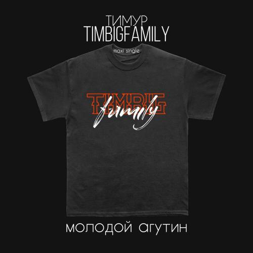 Тимур Timbigfamily - Молодой Агутин (DJInvited Remix)
