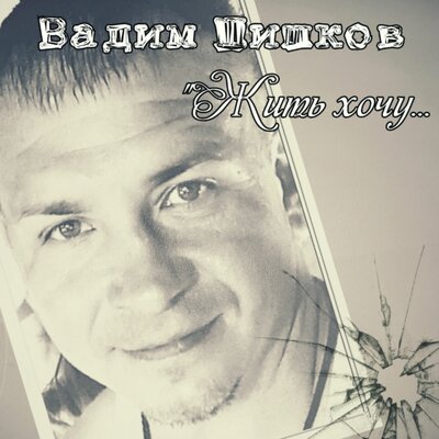 Вадим Шишков - Мне бы жить