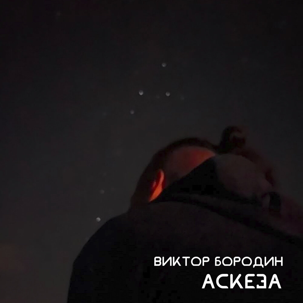 Виктор Бородин - Аскеза