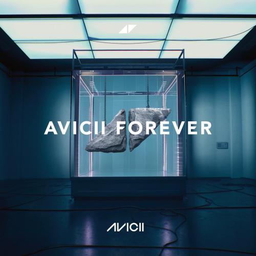 Avicii - The Nights