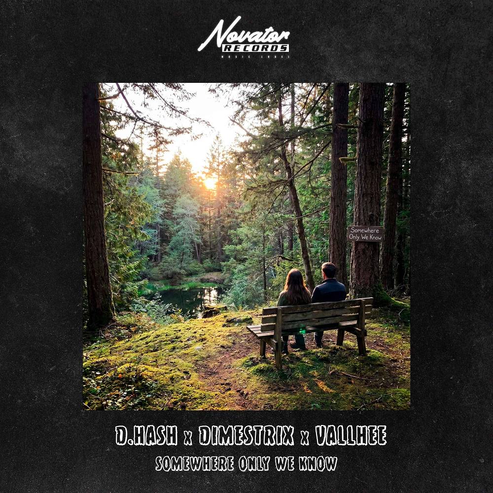 D.HASH & DIMESTRIX & Vallhee - Somewhere Only We Know