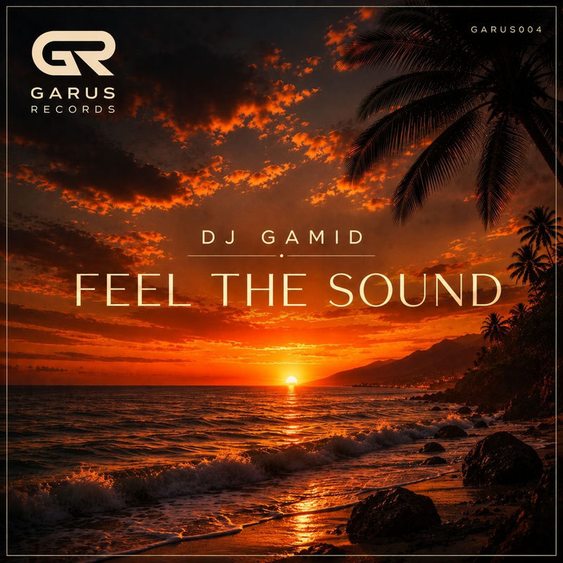 DJ Gamid - Feel The Sound