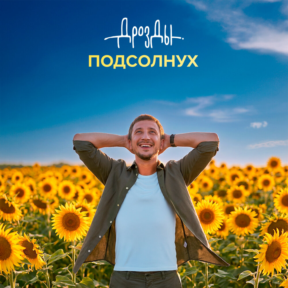 Дрозды - Подсолнух