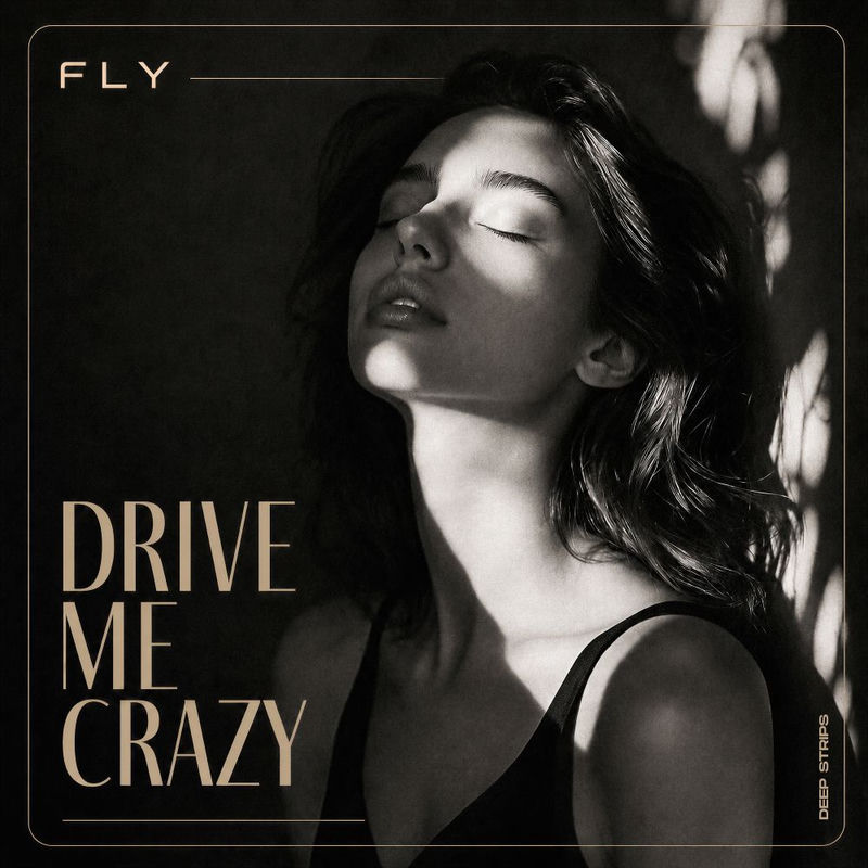 FLY - Drive Me Crazy