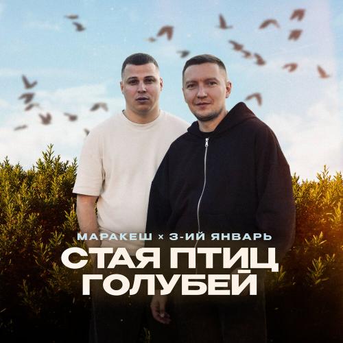 Маракеш, 3-ий Январь - Стая птиц голубей