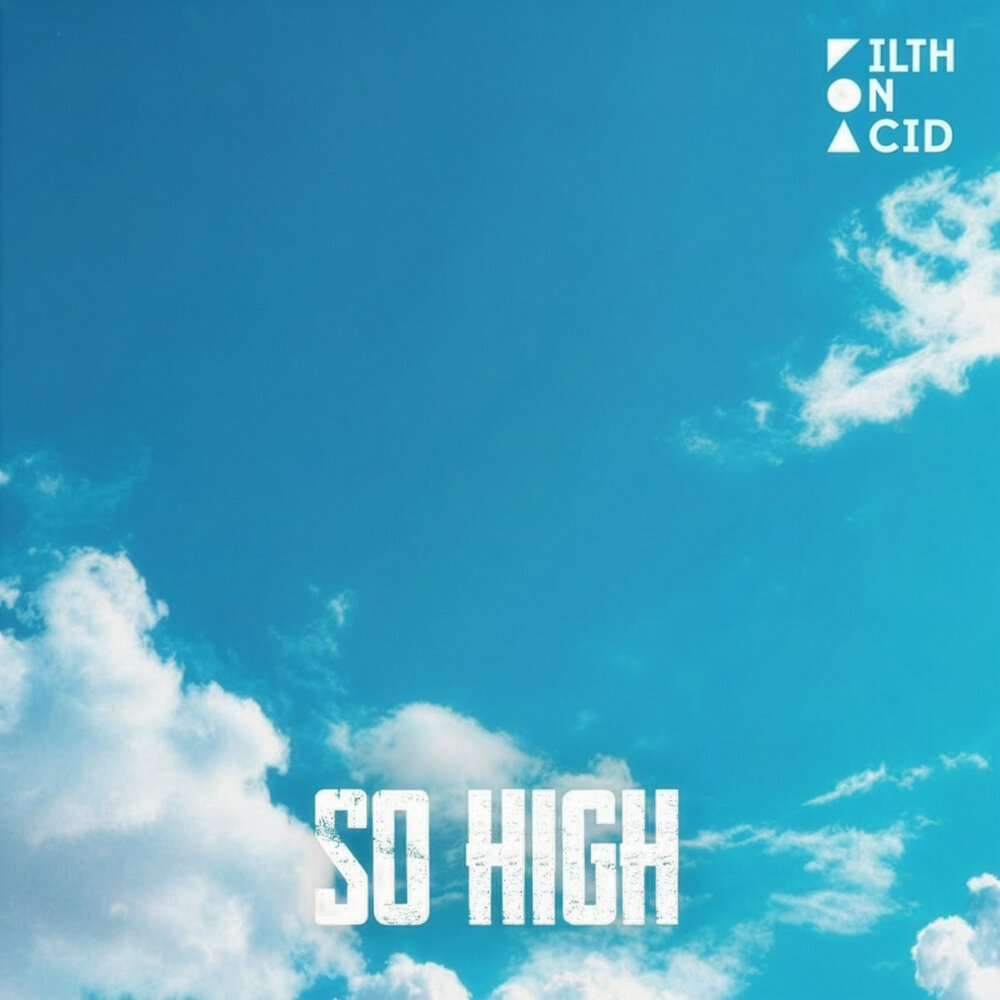 Reinier Zonneveld - So High