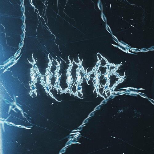 Seeko, New Beat Order, Anika, Kroma - Numb