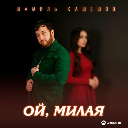 Шамиль Кашешов - Ой, милая