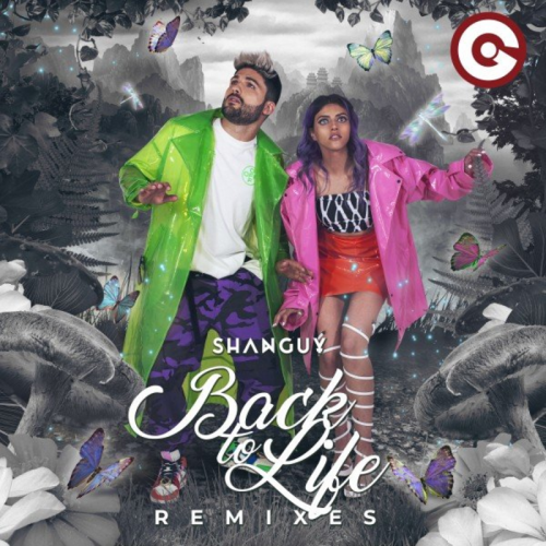 Shanguy - Back to Life (Cyril M Remix)